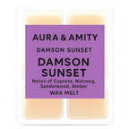 Damson Sunset Scented Soy Wax Melts – Hand-Poured in Texas | Phthalate-Free, Fruity Floral Home Fragrance Cubes for Warmers